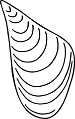 Black and white line drawing of a mussel shell