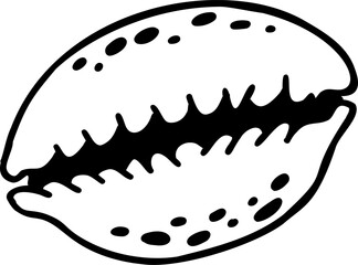 Black and white outline drawing of a cowrie shell