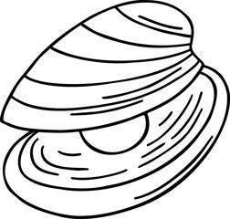 Black and white outline drawing of an open clam shell