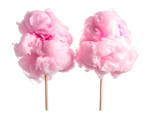 Two fluffy pink cotton candy on sticks