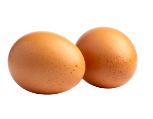 Two brown eggs close-up