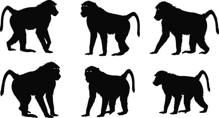 Baboon silhouette illustrations, black vector, walking pose, standing posture, side profile, tail variation, animal design, character set