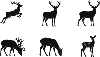 Deer silhouettes, leaping pose, grazing stag, standing doe, spotted fawn, antlered buck, wildlife vector, animal set, black design