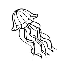 jellyfish drawing in a hand-drawn line art style