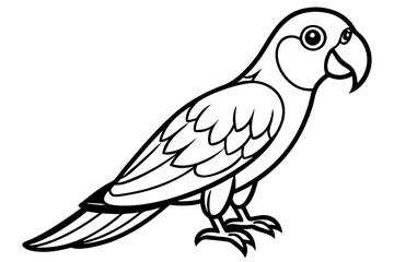 parrot isolated on white background