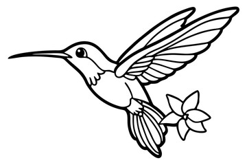 hummingbird and flower