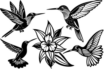 set of hummingbird 