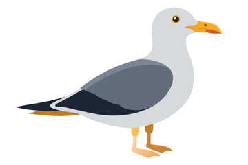Obraz premium vector illustration of a seagull 