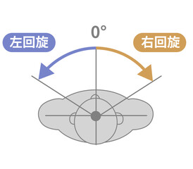 頸部、首の可動域　ROMイラスト