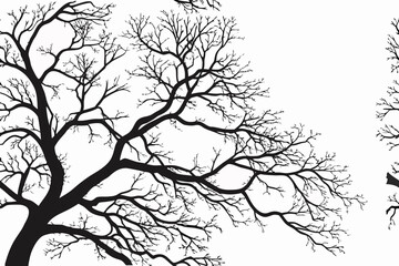 Fototapeta premium branch of a tree