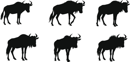Wildebeest silhouettes, walking poses, standing stances, curved horns, muscular build, black design, wildlife vector, nature icon, animal set