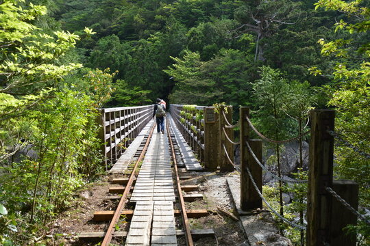 屋久島」の写真素材 | 6,232件の無料イラスト画像 | Adobe Stock