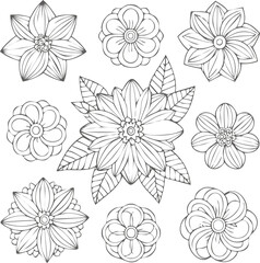 Floral flowers vector set