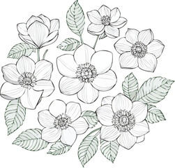 Floral flowers vector set