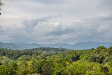 Fototapeta premium house