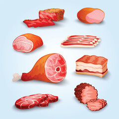 Detailed Cartoon Style Delicious Assortment of Fresh Meat Illustration