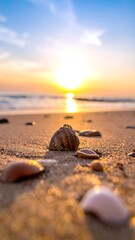 Seashells on sandy beach at sunrise.  Soft focus on shells near the foreground, with a golden sunrise over the ocean in the background