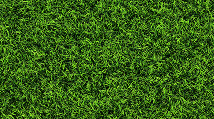 Seamless Natural Texture Background Pack &ndash; Stone, Wood, Fabric, Abstract, Organic Surfaces 8K