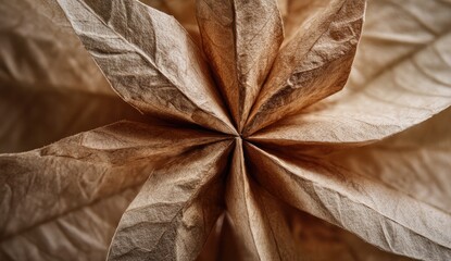 Close-up origami star