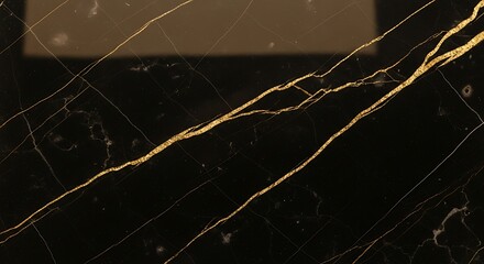 Abstract Black and Gold Veined Marble Texture Background