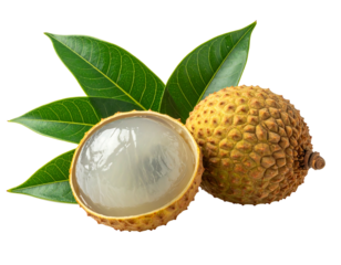 Fresh lychee fruit with leaves