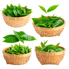 Naklejka premium Fresh Green Tea Leaves In Woven Baskets Against Transparent Background Showing Various Angles with Bright Green Color and Natural Texture