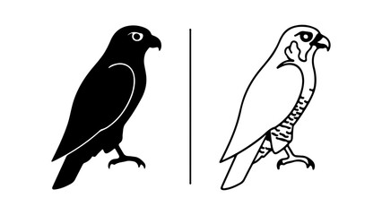 Two detailed illustrations of a falcon bird in contrasting black and white styles.