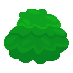 Vibrant green bush with layered leaves against a white background, ideal for nature-themed designs (3)