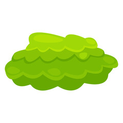 Vibrant green bush with layered leaves, set against a white background, ideal for nature themes