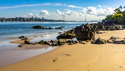Sunny beach with rocks and city skyline