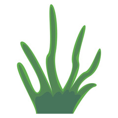 Abstract green plant illustration with elongated leaves on a white background, ideal for design use