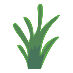 Vibrant green plant with elongated leaves against a white background, ideal for nature themes