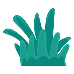 Vibrant green foliage with varying leaf shapes and sizes against a clean white background