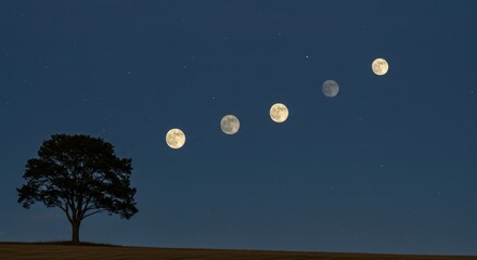 Phases of the moon with a tree silhouette