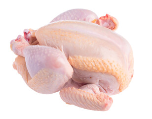 Raw whole chicken, light pink flesh
