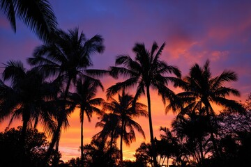 Obraz premium Silhouette palm trees at sunset (2)