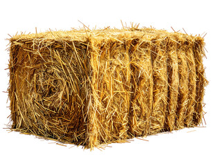 Rectangular bale of golden straw
