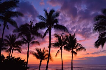 Silhouette palm trees at sunset