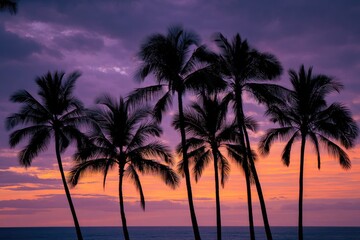 Silhouette palm trees at sunset (1)
