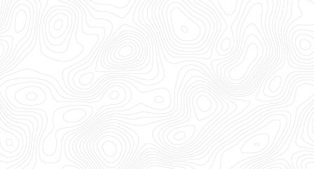 Topographic contour map. similarcartography illustration.  Abstract outline grid, vector illustration. Topography and geography map grid abstract backdrop.
