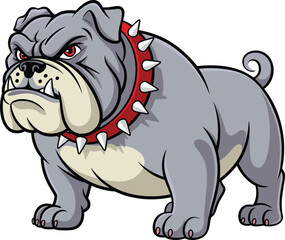Aggressive bulldog cartoon, muscular dog mascot, fierce animal illustration, red spiked collar, intimidating pet vector, cad drawing flat vector illustration