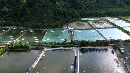 Aerial View of Shrimp Ponds on the Coastline of Pujiharjo Village Malang