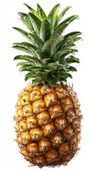 Ripe pineapple, whole, isolated on white.  Fresh, vibrant, and full.  Bright yellow-gold skin with  a crown of verdant green leaves, speckled with water droplets