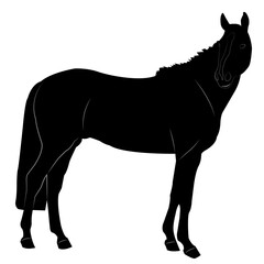 A horse silhouette in vector graphics.