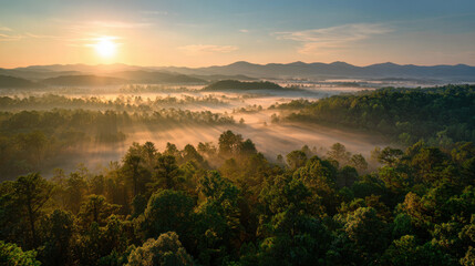 Obraz premium Golden sunlight illuminating misty valleys and dense forests at dawn with low-hanging fog creating a serene and tranquil atmosphere in the landscape scene.