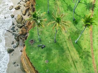 Beautiful morning view indonesia Panorama Landscape paddy fields with beauty color and sky natural light