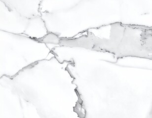Elegant white marble texture with intricate gray veining, creating a sophisticated, seamless stone surface