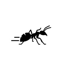 Ant Silhouette Focused on the Ant Fast Moving Black and White Insect Detailed.