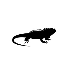 Silhouette of a large iguana profile view detailed body and tail black and white image.