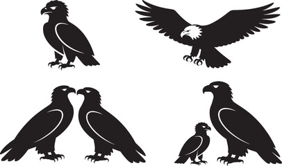 Eagle silhouette set, predatory bird family, adult, young, black wildlife collection flying